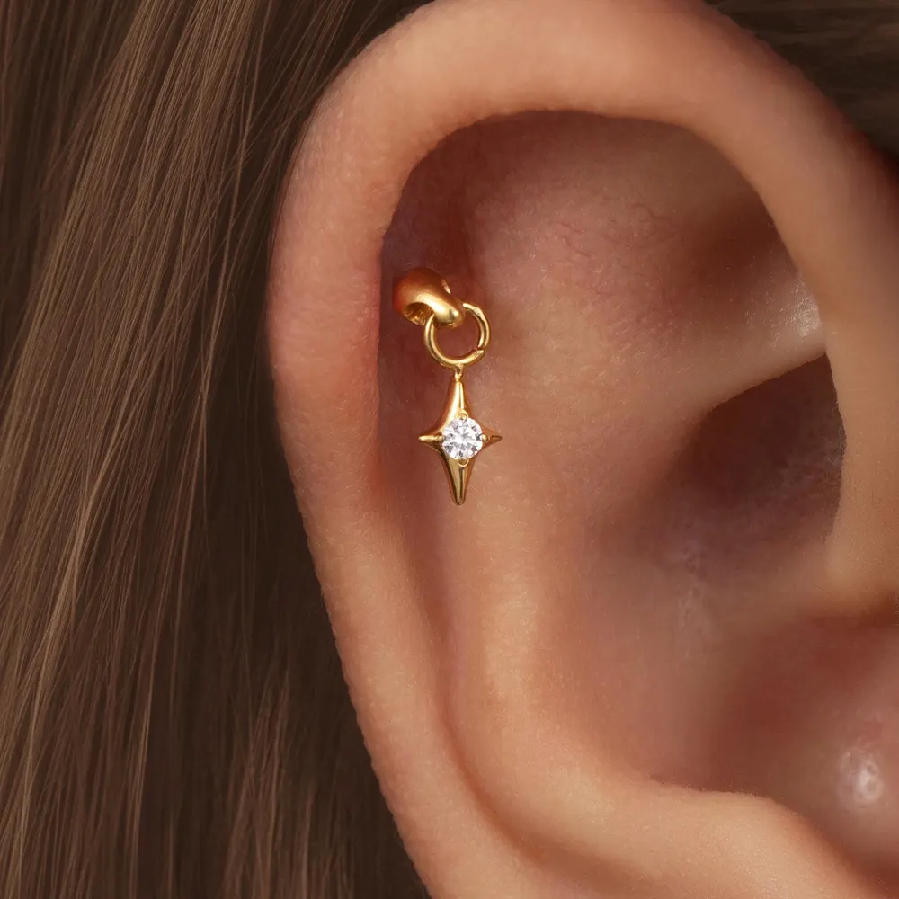 1PC G23 チタン製隠し型垂直スターチャーム＆ドロップレ - Body Jewelry Vertical Labret のレビューと価格