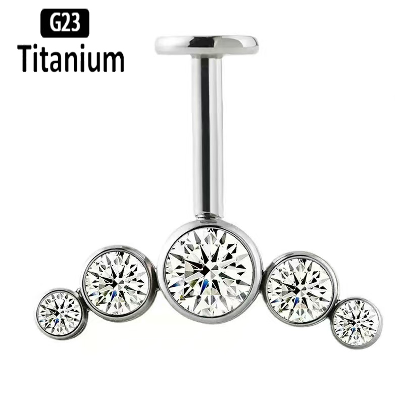 G23チタン製イヤーピアス 内部ネジ式 垂直下向きロッド リ - Body Jewelry Vertical Labret のレビューと価格
