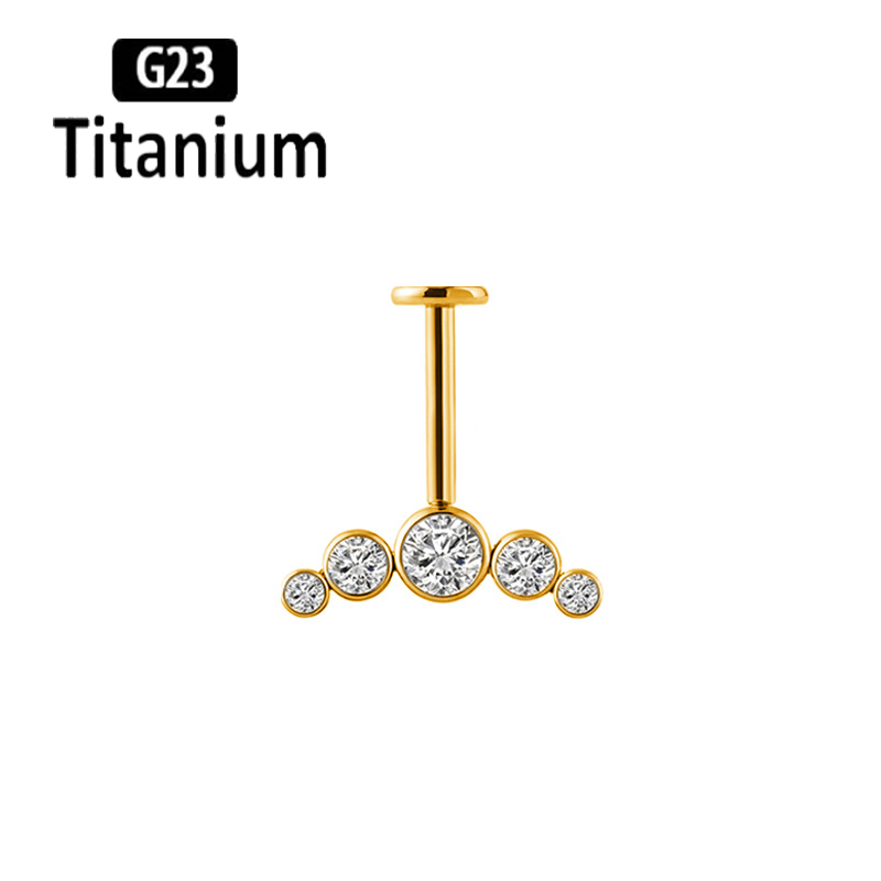 G23チタン製イヤーピアス 内部ネジ式 垂直下向きロッド リ - Body Jewelry Vertical Labret のレビューと価格